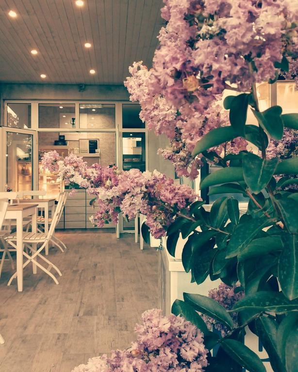 Dream House Otel Tsarevo Dış mekan fotoğraf